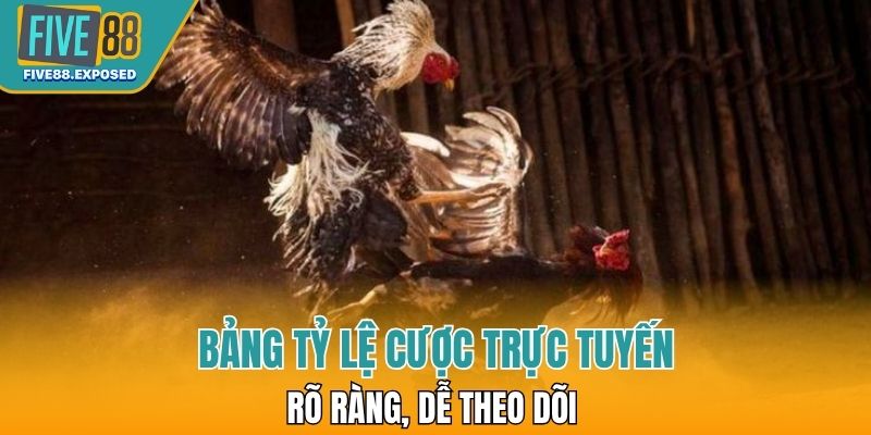 Bảng tỷ lệ cược trực tuyến rõ ràng, dễ theo dõi trong mỗi trận đá gà cựa sắt tại FIVE88