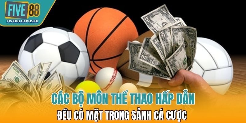 Các bộ môn thể thao hấp dẫn đều có mặt trong sảnh cá cược của nhà cái