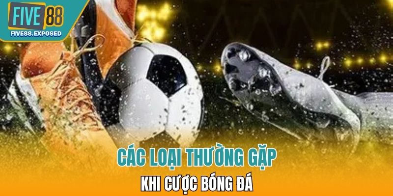 Các loại thường gặp khi cược bóng đá
