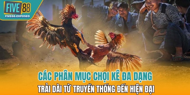 Các phân mục chọi kê đa dạng, trải dài từ truyền thống đến hiện đại