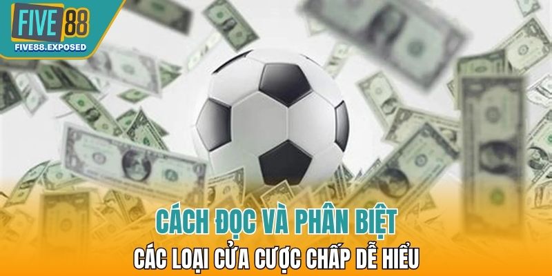 Cách đọc và phân biệt các loại cửa cược chấp dễ hiểu