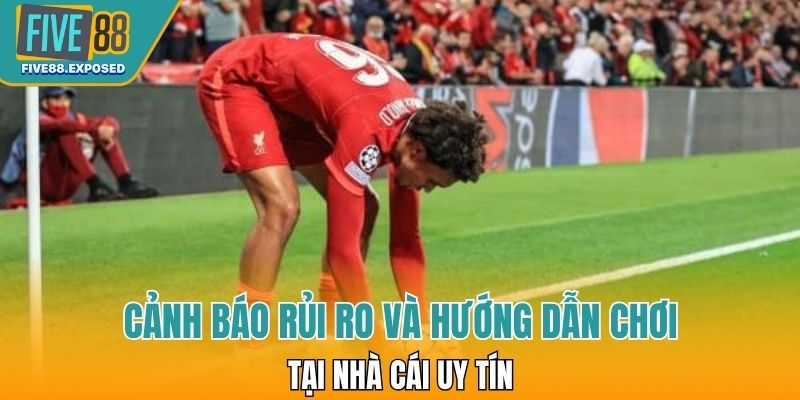 Cảnh báo rủi ro và hướng dẫn chơi tại nhà cái uy tín