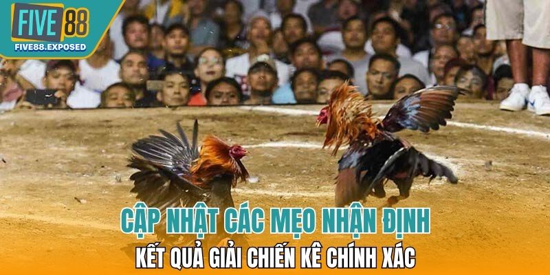 Cập nhật các mẹo nhận định kết quả giải chiến kê chính xác