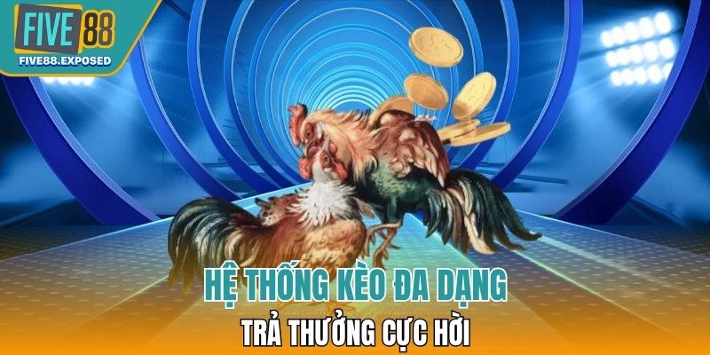 Hệ thống kèo đa dạng trả thưởng cực hời 