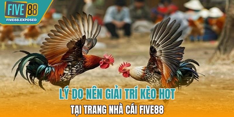 Lý do nên giải trí kèo hot tại trang nhà cái FIVE88 