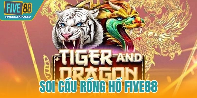 Soi cầu rồng hổ FIVE88