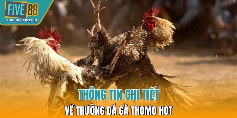 Thông tin chi tiết về trường đá gà Thomo hot