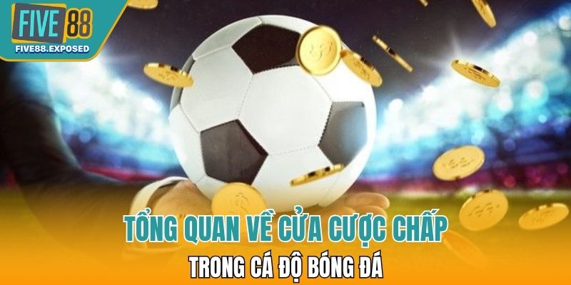 Tổng quan về cửa cược chấp trong cá độ bóng đá
